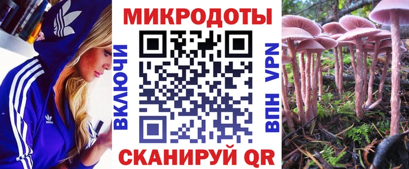 Псилоцибиновые грибы Psilocybine cubensis  дарнет шоп  hydra ссылка  Чулым 